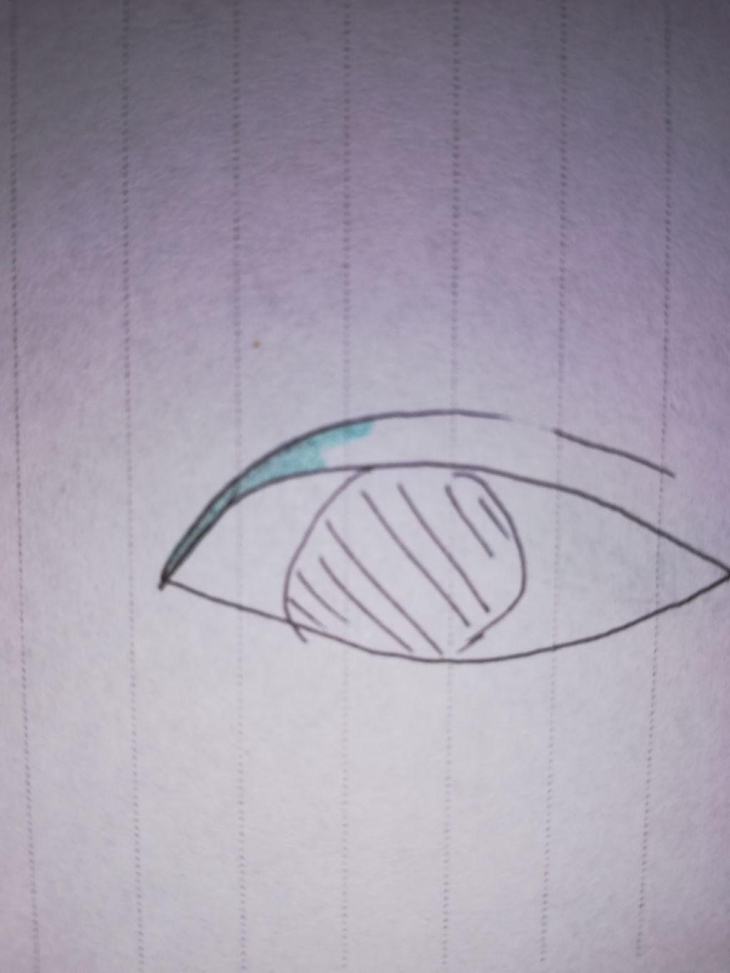 ルドゥーブル/ルドゥーブル/二重まぶた用アイテムを使ったクチコミ(4枚目)