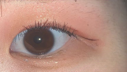 シルキースフレアイズ(マットタイプ)/キャンメイク/アイシャドウパレットを使ったクチコミ(4枚目)