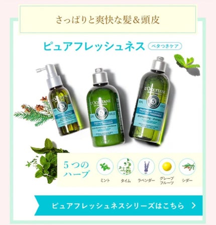 ファイブハーブス ピュアフレッシュネス シャンプー/コンディショナー/L'OCCITANE/市販シャンプーを使ったクチコミ(2枚目)