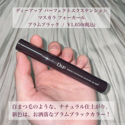 パーフェクトエクステンション マスカラ for カール/D-UP/マスカラを使ったクチコミ(2枚目)