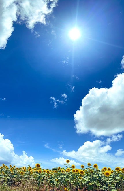 マスクフィット クリスタルメッシュクッション 23N サンド/TIRTIR(ティルティル)/クッションファンデーションを使ったクチコミ(1枚目)