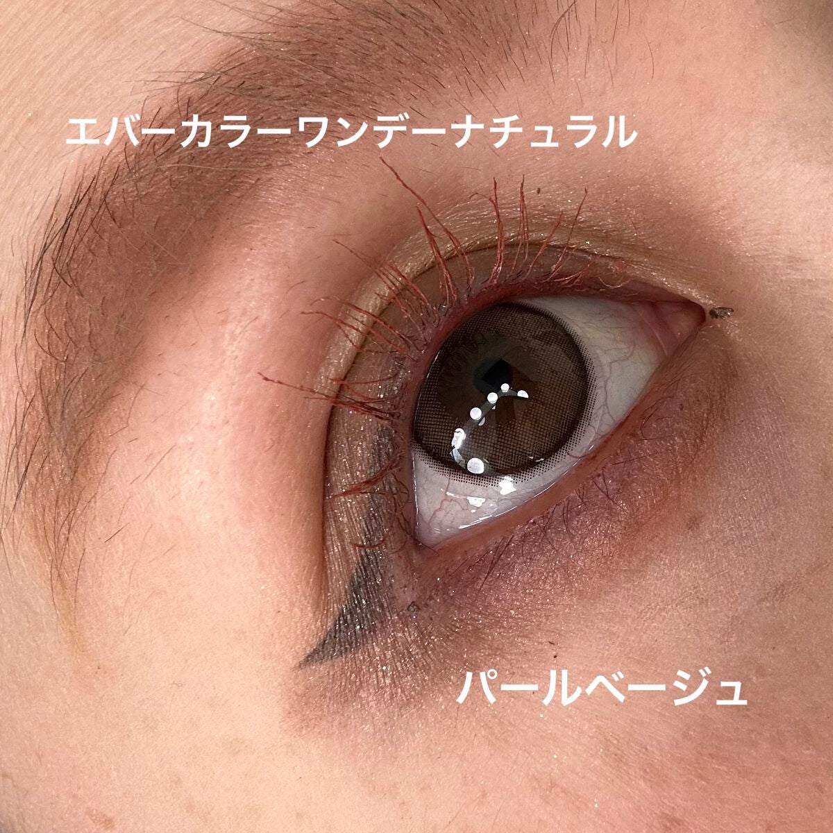 スモール アイシャドウ×9/M・A・C/アイシャドウパレットを使ったクチコミ(1枚目)