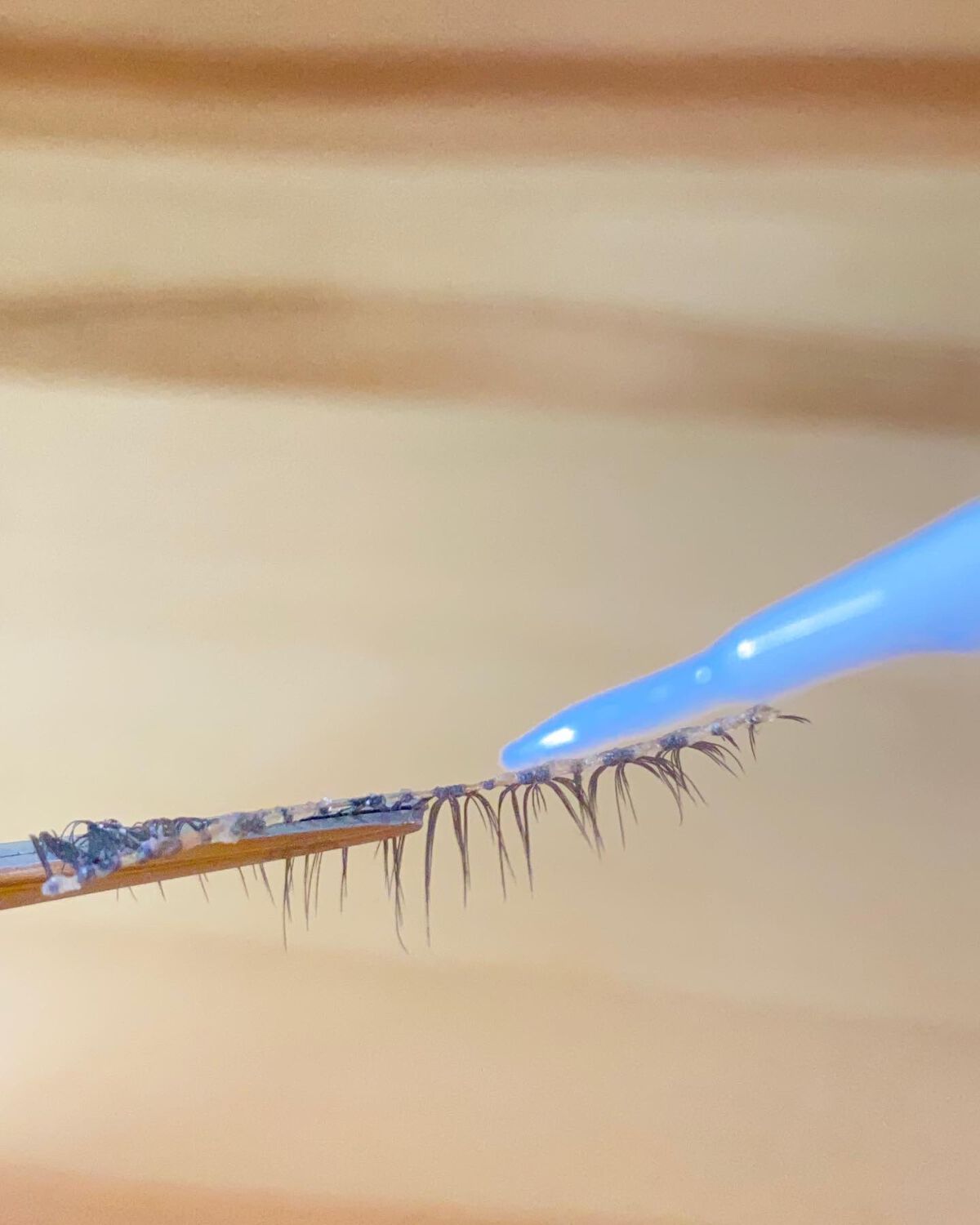 アイラッシュグルー/ミッシュブルーミン/つけまつげを使ったクチコミ(4枚目)