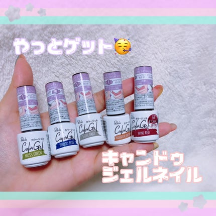 パル カラージェル/キャンドゥ/ジェルネイルを使ったクチコミ(1枚目)