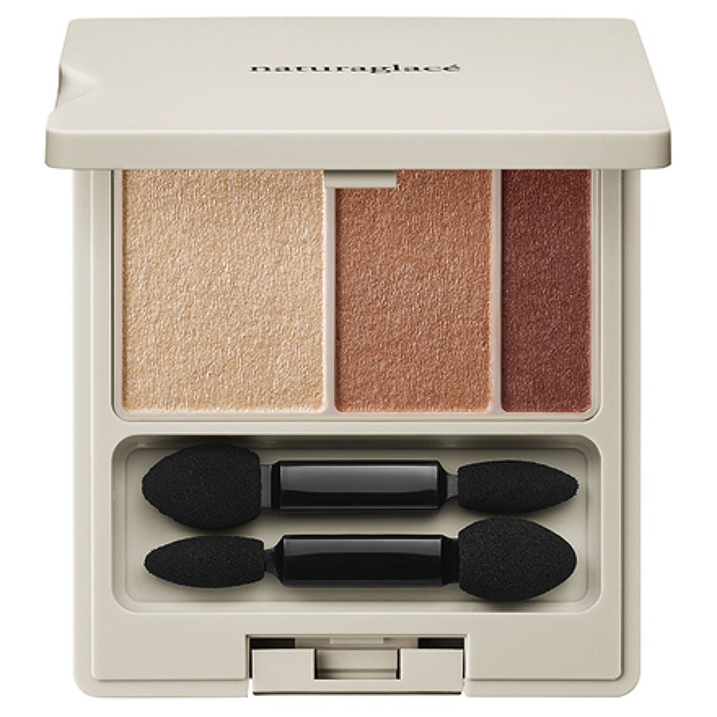 アイカラーパレット EX03 キャメルブラウン