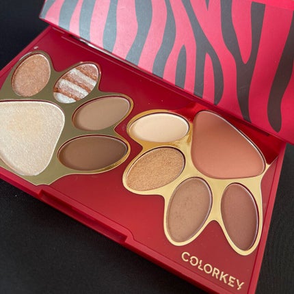 フローティングカラーリキッドアイライナー/COLORKEY/リキッドアイライナーを使ったクチコミ(2枚目)