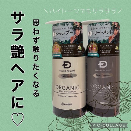 スカルプD ボーテ ナチュラスター スカルプシャンプー/トリートメントパック/アンファー(スカルプD)/シャンプー・コンディショナーを使ったクチコミ(1枚目)