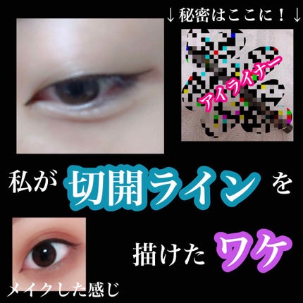 極細 アイライナーR/CEZANNE/リキッドアイライナーを使ったクチコミ(1枚目)