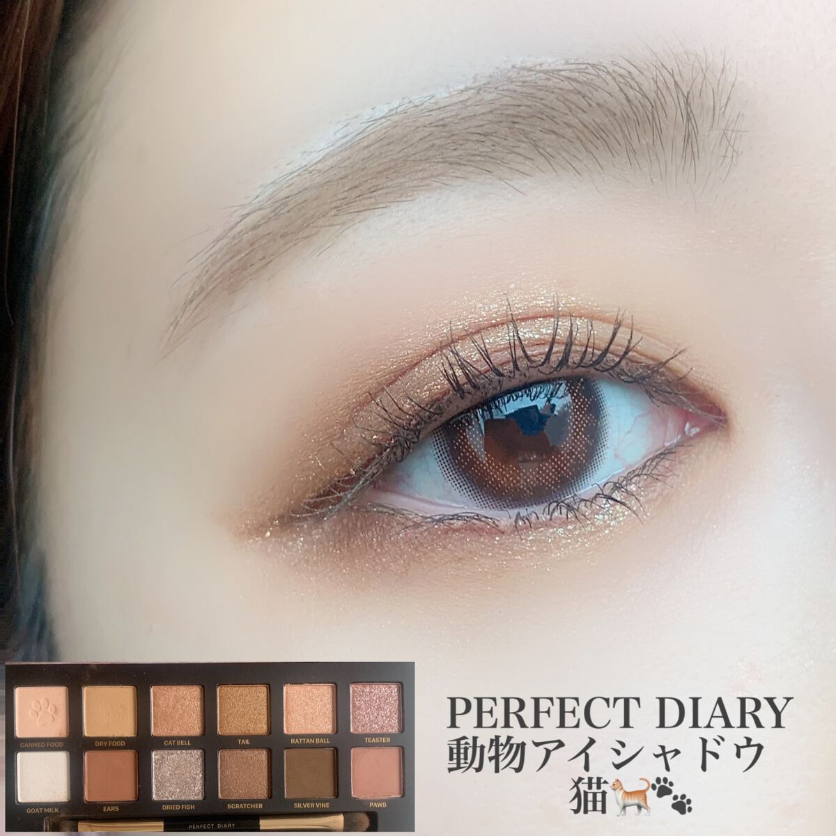 エクスプローラ12色 動物アイシャドウパレット/PERFECT DIARY/アイシャドウパレットを使ったクチコミ(2枚目)