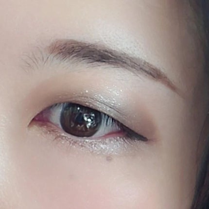 エクスプローラ12色 動物アイシャドウパレット/PERFECT DIARY/アイシャドウパレットを使ったクチコミ(6枚目)