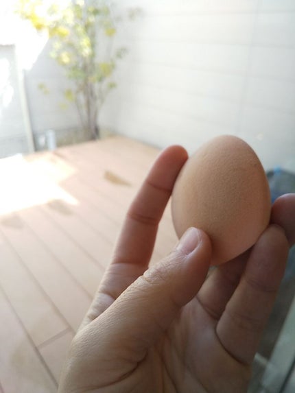 スムースフィットスポンジ/ロージーローザ/パフ・スポンジを使ったクチコミ(4枚目)