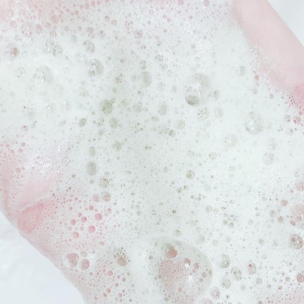 ワフードメイド 宇治抹茶酵素洗顔/pdc/洗顔パウダーを使ったクチコミ(5枚目)