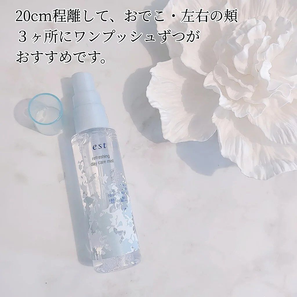 ラスティング クラリティ ルースパウダー/est/ルースパウダーを使ったクチコミ（2枚目）