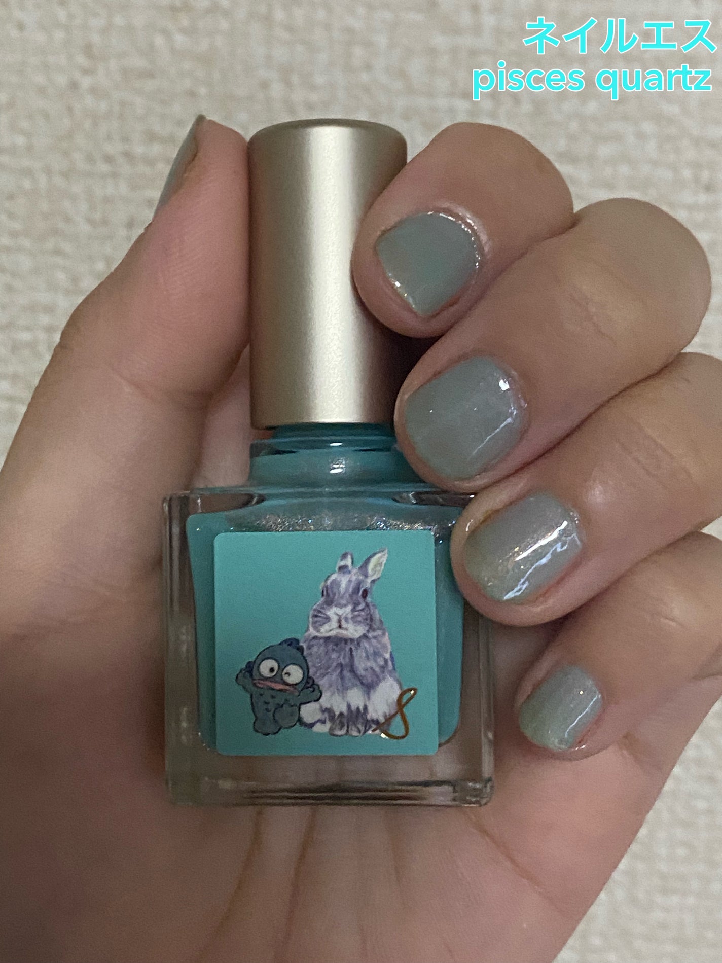 新品♡エステナードソニック♡ 在庫限り。 2023年秋新作マニキュア】ネイルエス| nail S(ネイルエス) の