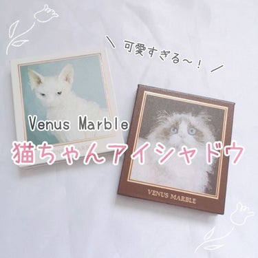 Venus Marble アイシャドウキャットシリーズ/Venus Marble/アイシャドウパレットを使ったクチコミ（1枚目）