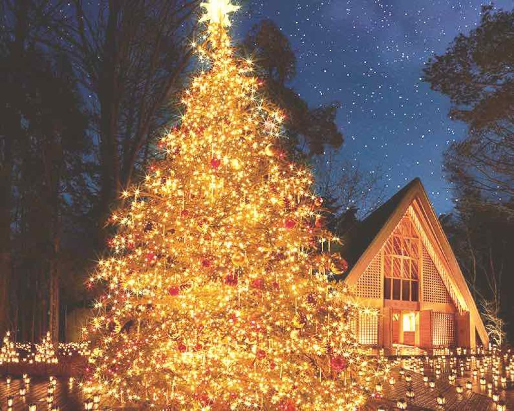 口紅(詰替用)/ちふれ/口紅を使ったクチコミ(1枚目)