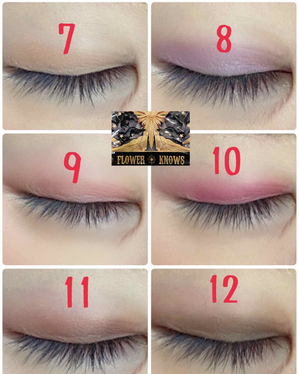 リトルエンジェル12色アイシャドウパレット/FlowerKnows/アイシャドウパレットを使ったクチコミ(4枚目)