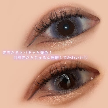 Angelcolor Bambi Series Vintage 1day ヴィンテージラベンダー/AngelColor/ワンデー（１DAY）カラコンの画像