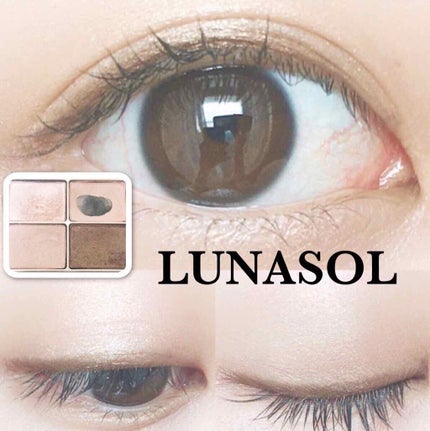 スキンモデリングアイズ/LUNASOL/アイシャドウパレットを使ったクチコミ(1枚目)