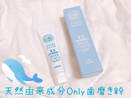 山田養蜂場のはみがき/アピセラピーコスメティクス/歯磨き粉を使ったクチコミ(1枚目)