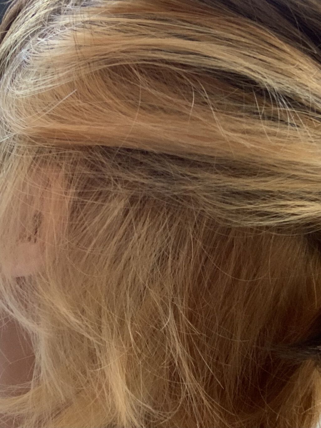 メイクアップカラー/ビューティーン/ヘアカラーを使ったクチコミ（2枚目）