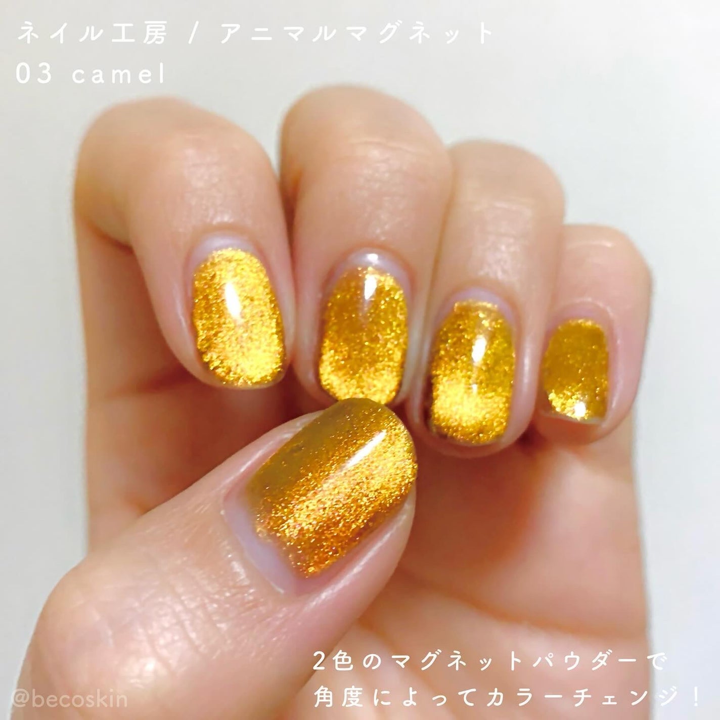 アニマルマグネットジェル/ネイル工房/ジェルネイルを使ったクチコミ(2枚目)