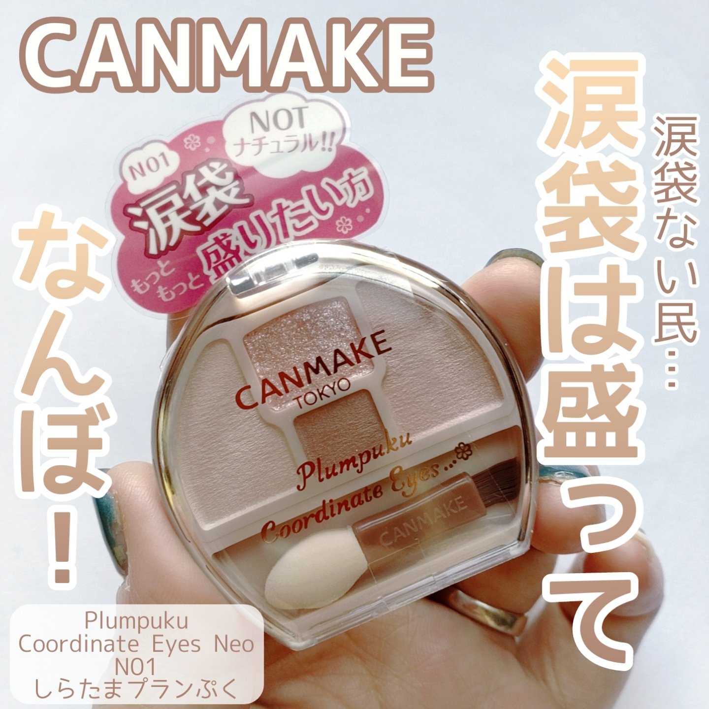 プランぷくコーデアイズ/キャンメイク/パウダーアイシャドウを使ったクチコミ（1枚目）