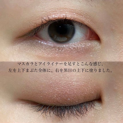 エレクトリックショックアイズ /KATE/アイシャドウパレットを使ったクチコミ(5枚目)