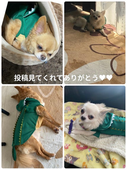 ザ・オンリーワン ルミナスカラー リップスティック/DOLCE&GABBANA BEAUTY/口紅を使ったクチコミ(8枚目)