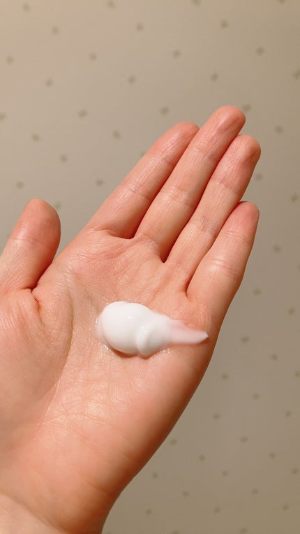 ソフィーナ iP リニュー ムース ウォッシュ/SOFINA iP/洗顔フォームを使ったクチコミ(3枚目)