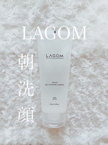 ラゴム ジェルトゥウォーター クレンザー(朝用洗顔)/LAGOM /洗顔フォームを使ったクチコミ（1枚目）