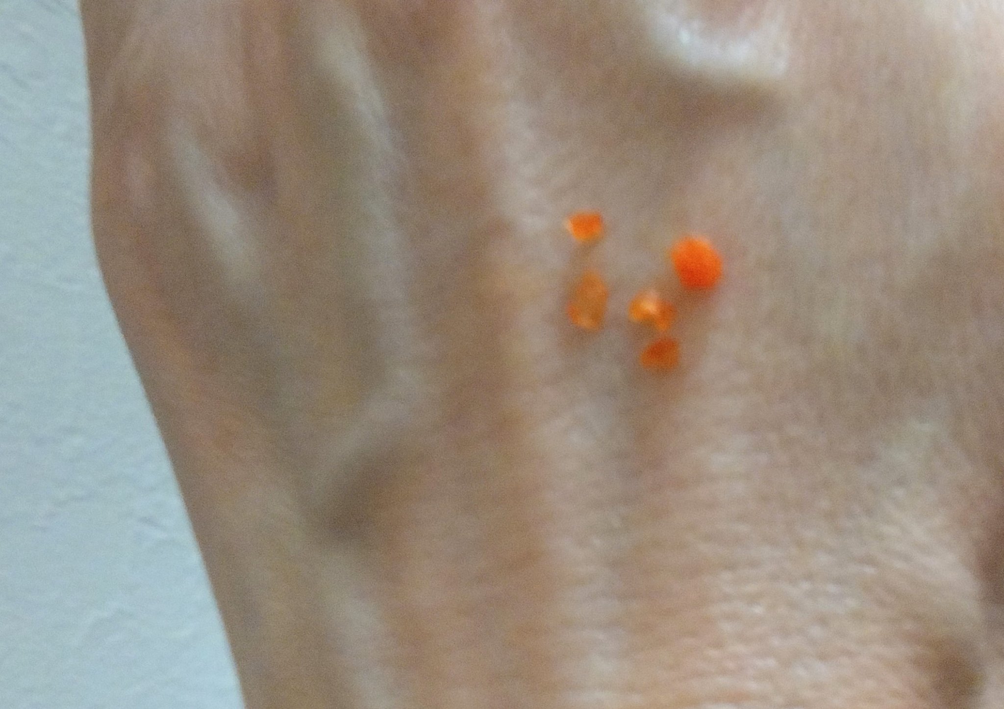 クナイプ バスソルト バニラ＆ハニーの香り 50g【旧】/クナイプ/無機塩系入浴剤を使ったクチコミ（2枚目）