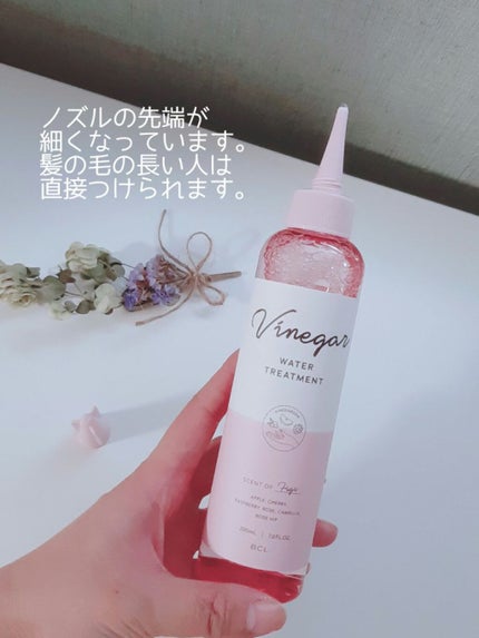 ウォータートリートメント/ビネガーデン/洗い流すヘアトリートメントを使ったクチコミ(2枚目)