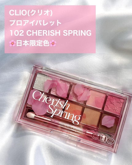 プロ アイ パレット/CLIO/アイシャドウパレットを使ったクチコミ(2枚目)