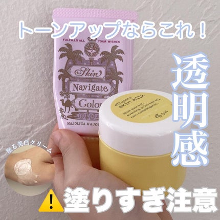 スキンナビゲートカラー/MAJOLICA MAJORCA/化粧下地を使ったクチコミ(1枚目)