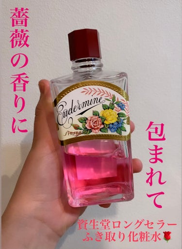 オイデルミン（N）/SHISEIDO/化粧水を使ったクチコミ（1枚目）