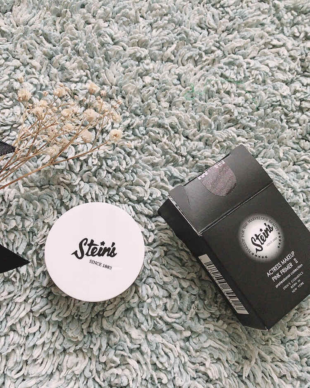 スタインズ ピンクプライマー II/シーヴァ/化粧下地を使ったクチコミ（1枚目）