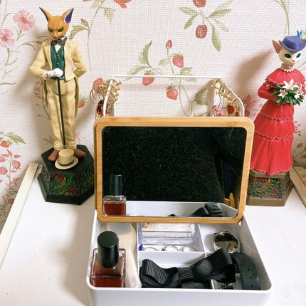 セリア トラベルケース/セリア/その他を使ったクチコミ(2枚目)