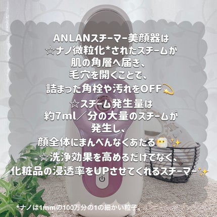 スチーマー美顔器/ANLAN/美顔器・マッサージを使ったクチコミ(3枚目)