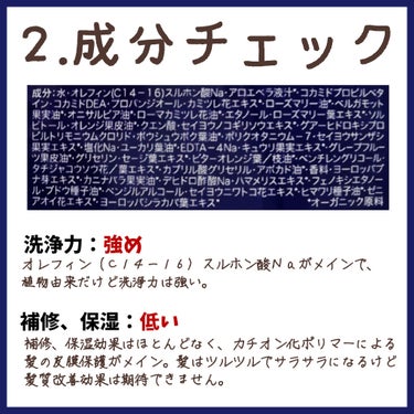 バランシング モイスト スカルプ シャンプー/ヘア トリートメント/アルジェラン/シャンプー・コンディショナーを使ったクチコミ（3枚目）