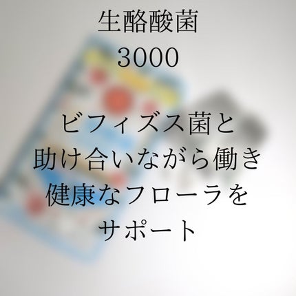 生酪酸菌3000/ミナミヘルシーフーズ/健康サプリメントを使ったクチコミ(4枚目)