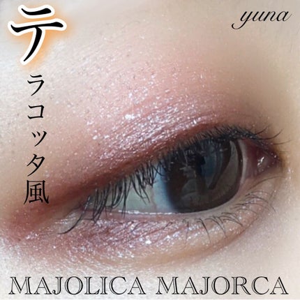 ウルトラ フィックスオン アイ プライマー/saat insight/アイシャドウベースを使ったクチコミ(5枚目)