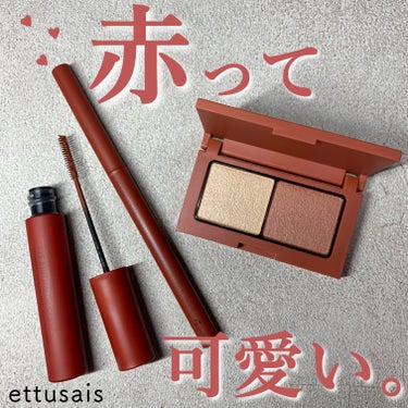 アイエディション(マスカラ)/ettusais/マスカラを使ったクチコミ（1枚目）