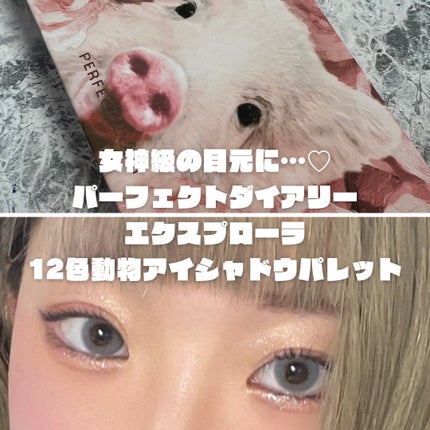 エクスプローラ12色 動物アイシャドウパレット/PERFECT DIARY/アイシャドウパレットを使ったクチコミ(1枚目)