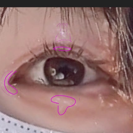 ラスティングマルチアイベース WP/キャンメイク/アイシャドウベースを使ったクチコミ(6枚目)