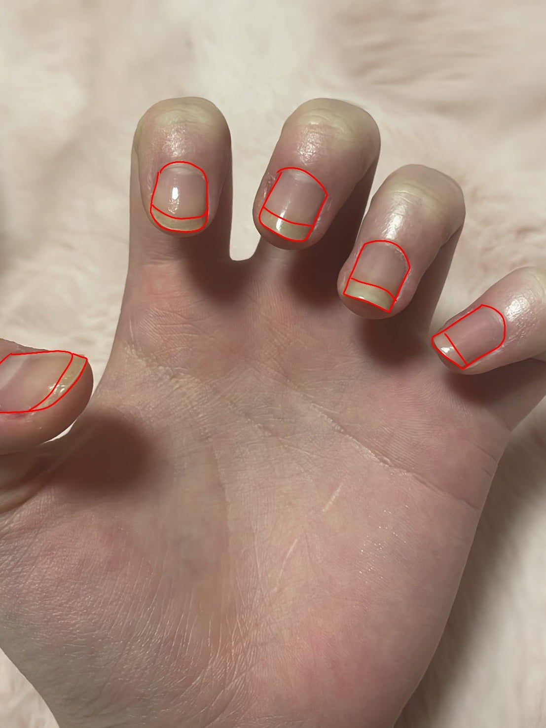 ネイルケアオイル/無印良品/ネイルオイル・トリートメントを使ったクチコミ(3枚目)