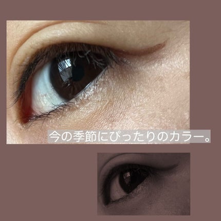 ラスティングリキッドライナー/キャンメイク/リキッドアイライナーを使ったクチコミ(3枚目)