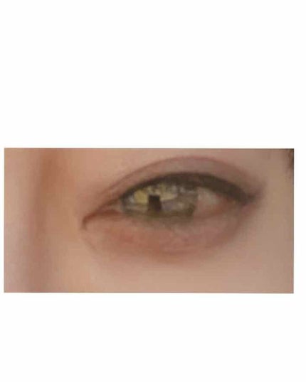 パウダーアイシャドウ ブルーミングキティ/DAISO/アイシャドウパレットを使ったクチコミ(2枚目)