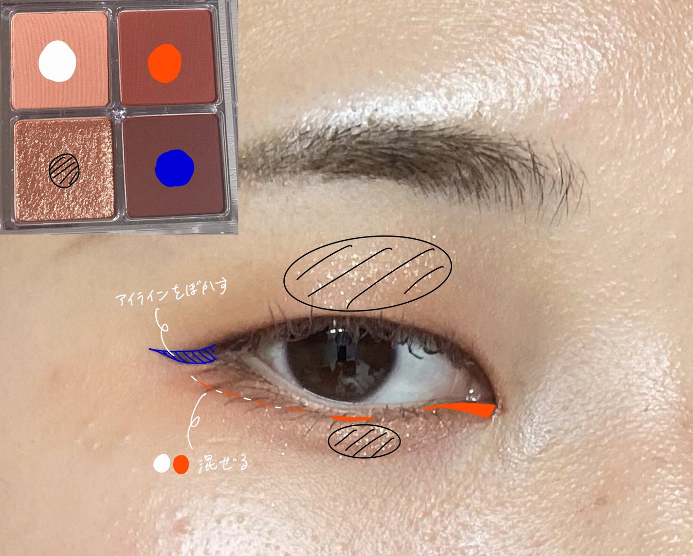 ドレッシーシャドウR/CipiCipi/アイシャドウパレットを使ったクチコミ(3枚目)