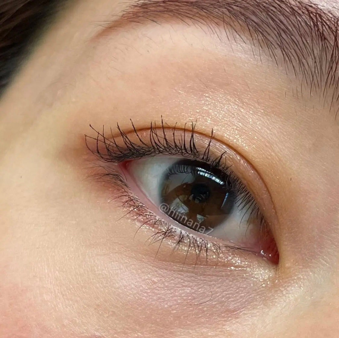 エレガンス エタンセル アルモニーアイズ/Elégance/アイシャドウパレットを使ったクチコミ(7枚目)